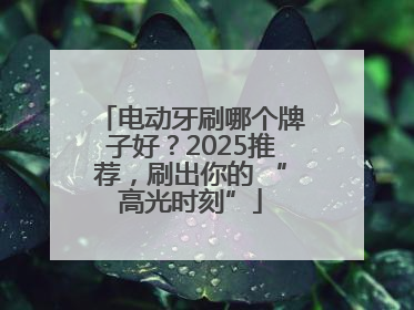 电动牙刷哪个牌子好？2025推荐，刷出你的 “高光时刻”