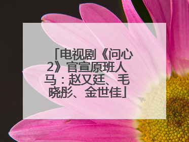电视剧《问心2》官宣原班人马：赵又廷、毛晓彤、金世佳