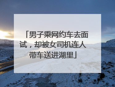 男子乘网约车去面试，却被女司机连人带车送进湖里