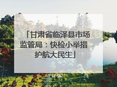甘肃省临泽县市场监管局：快检小举措 护航大民生