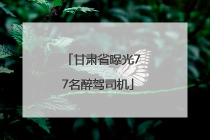 甘肃省曝光77名醉驾司机