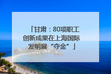 甘肃：80项职工创新成果在上海国际发明展“夺金”