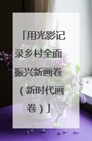 用光影记录乡村全面振兴新画卷（新时代画卷）