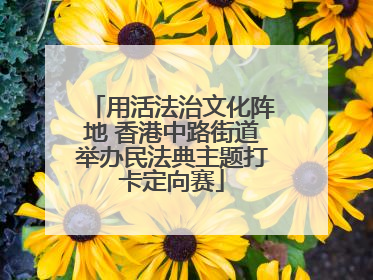 用活法治文化阵地 香港中路街道举办民法典主题打卡定向赛