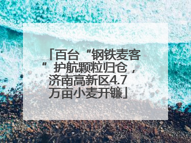 百台“钢铁麦客”护航颗粒归仓，济南高新区4.7万亩小麦开镰