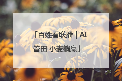 百姓看联播｜AI管田 小麦躺赢