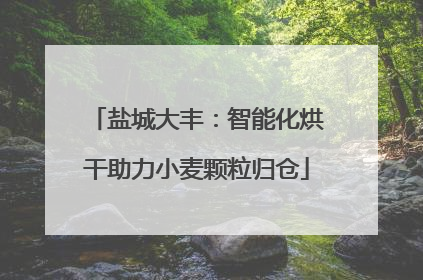 盐城大丰：智能化烘干助力小麦颗粒归仓