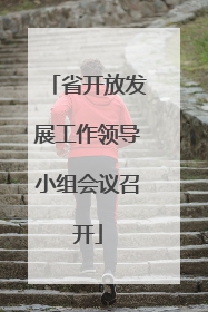 省开放发展工作领导小组会议召开
