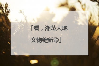 看，湘楚大地文物绽新彩
