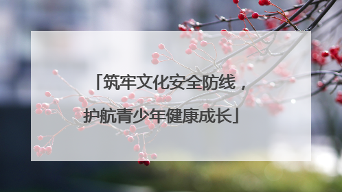 筑牢文化安全防线，护航青少年健康成长
