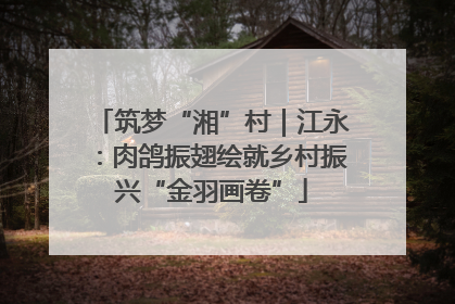 筑梦“湘”村｜江永：肉鸽振翅绘就乡村振兴“金羽画卷”