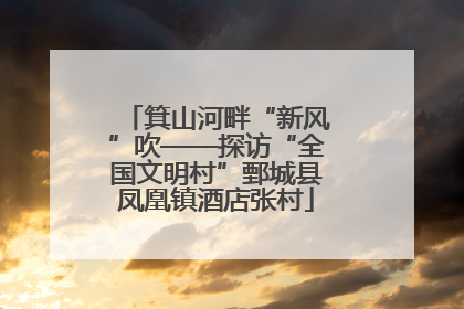 箕山河畔“新风”吹——探访“全国文明村”鄄城县凤凰镇酒店张村