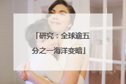 研究：全球逾五分之一海洋变暗
