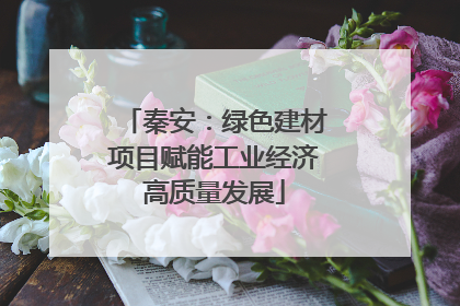 秦安：绿色建材项目赋能工业经济高质量发展