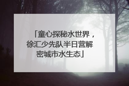 童心探秘水世界，徐汇少先队半日营解密城市水生态
