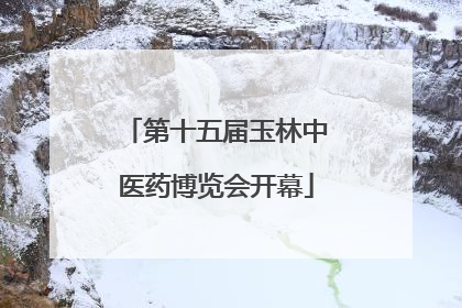 第十五届玉林中医药博览会开幕