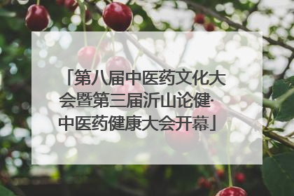 第八届中医药文化大会暨第三届沂山论健·中医药健康大会开幕
