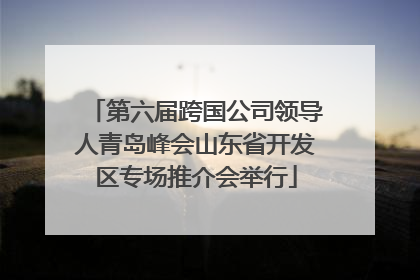 第六届跨国公司领导人青岛峰会山东省开发区专场推介会举行