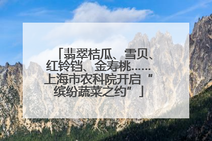 翡翠桔瓜、雪贝、红铃铛、金寿桃……上海市农科院开启“缤纷蔬菜之约”