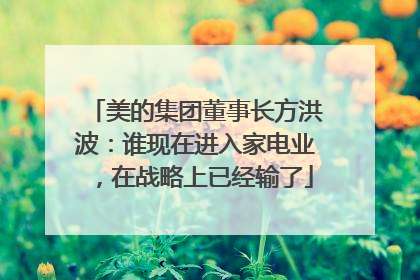 美的集团董事长方洪波：谁现在进入家电业，在战略上已经输了