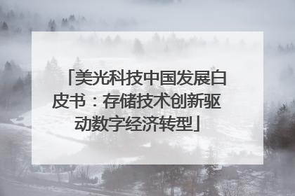 美光科技中国发展白皮书：存储技术创新驱动数字经济转型