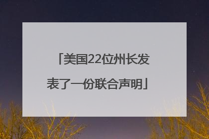 美国22位州长发表了一份联合声明
