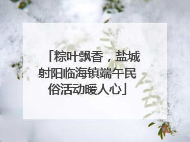 粽叶飘香，盐城射阳临海镇端午民俗活动暖人心