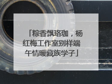 粽香飘珞珈，杨红梅工作室别样端午情暖藏族学子