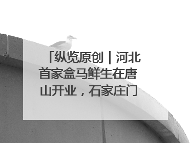 纵览原创｜河北首家盒马鲜生在唐山开业，石家庄门店预计8月开业