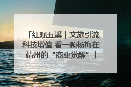 红观五溪｜文旅引流 科技增值 看一颗杨梅在靖州的“商业觉醒”