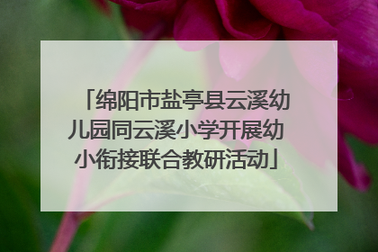绵阳市盐亭县云溪幼儿园同云溪小学开展幼小衔接联合教研活动