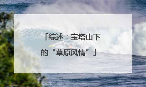 综述：宝塔山下的“草原风情”