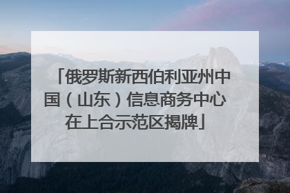 俄罗斯新西伯利亚州中国（山东）信息商务中心在上合示范区揭牌