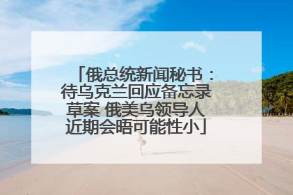 俄总统新闻秘书：待乌克兰回应备忘录草案 俄美乌领导人近期会晤可能性小