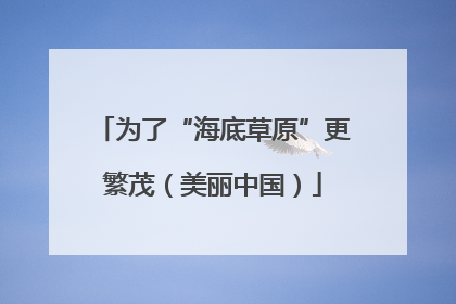 为了“海底草原”更繁茂（美丽中国）