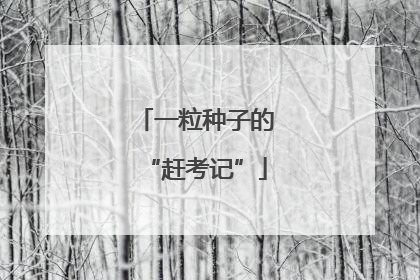 一粒种子的“赶考记”