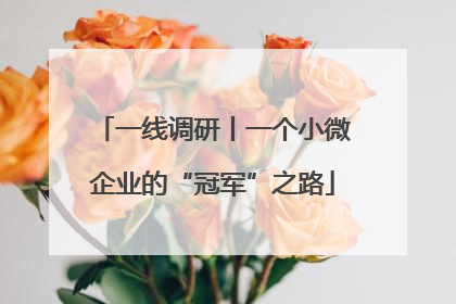 一线调研丨一个小微企业的“冠军”之路