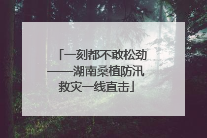 一刻都不敢松劲——湖南桑植防汛救灾一线直击