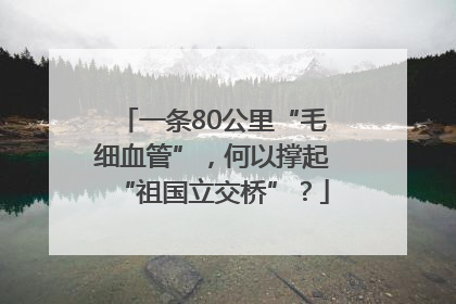 一条80公里“毛细血管”，何以撑起“祖国立交桥”？