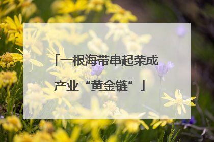 一根海带串起荣成产业“黄金链”