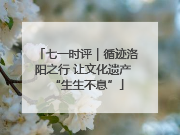 七一时评｜循迹洛阳之行 让文化遗产“生生不息”