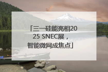 三一硅能亮相2025 SNEC展，智能微网成焦点