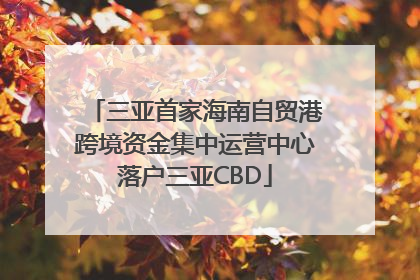 三亚首家海南自贸港跨境资金集中运营中心落户三亚CBD