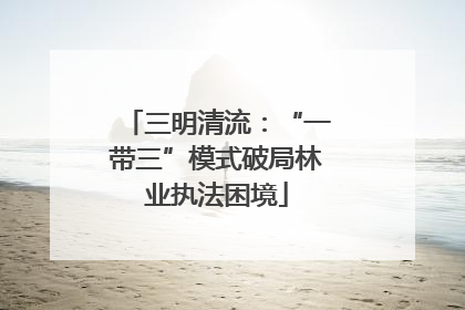 三明清流：“一带三”模式破局林业执法困境