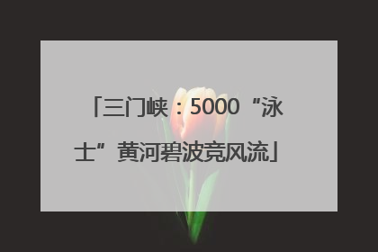 三门峡：5000“泳士”黄河碧波竞风流