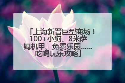 上海新晋巨型商场！100+小狗、8米萨姆机甲、免费乐园……吃喝玩乐攻略