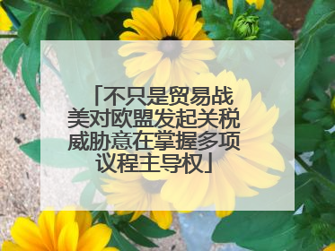 不只是贸易战 美对欧盟发起关税威胁意在掌握多项议程主导权