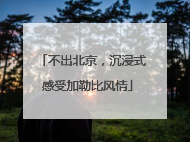 不出北京，沉浸式感受加勒比风情