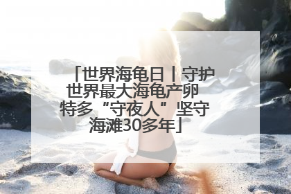 世界海龟日丨守护世界最大海龟产卵 特多“守夜人”坚守海滩30多年