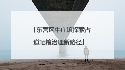 东营区牛庄镇探索占道晒粮治理新路径